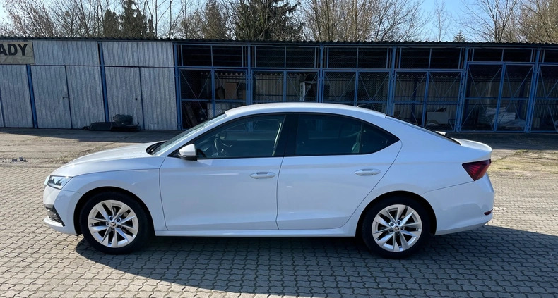 Skoda Octavia cena 64899 przebieg: 187000, rok produkcji 2020 z Bydgoszcz małe 137